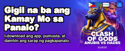 Premium Casino Gaming Experience
